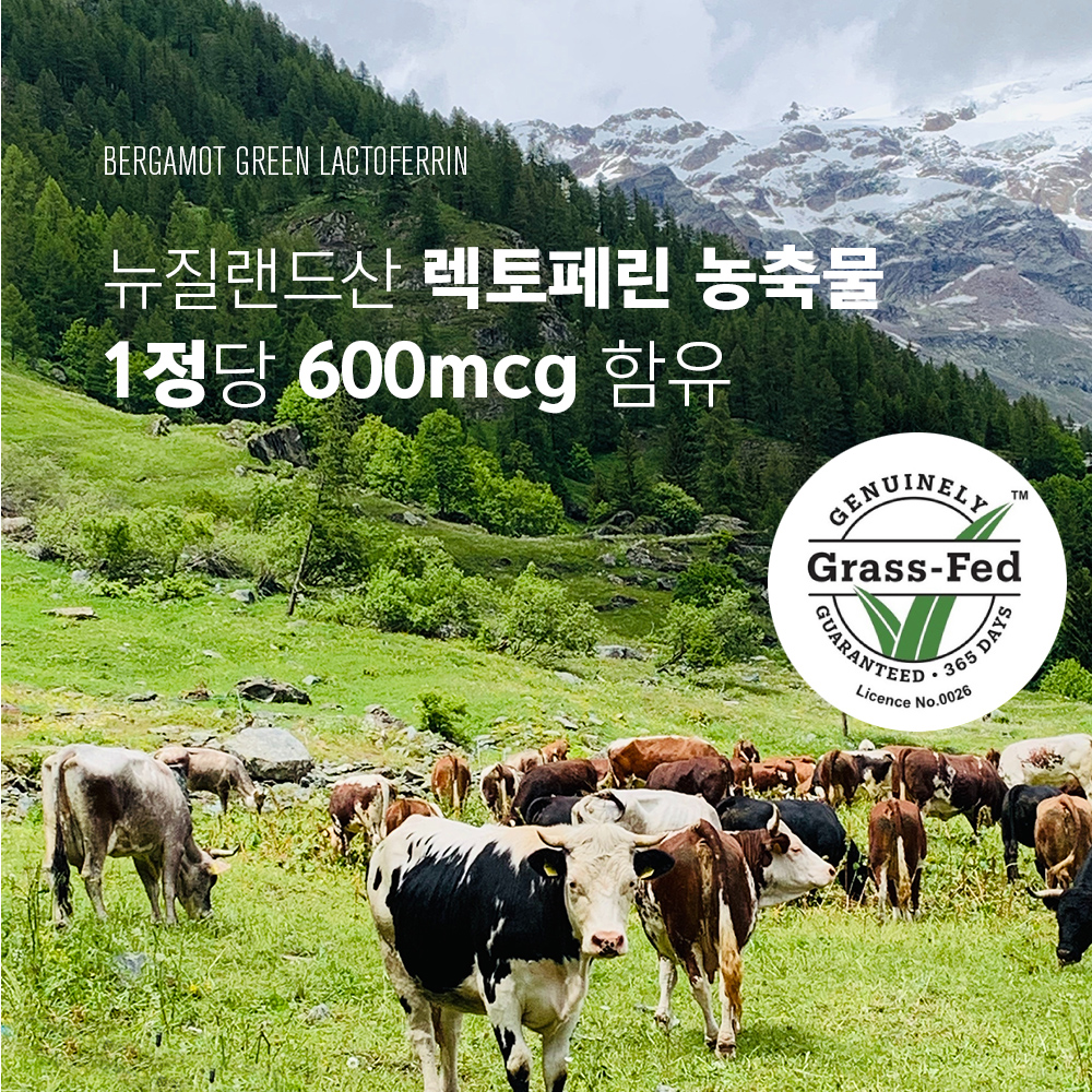 나은플러스 베르가못 그린 락토페린 (600mg X 60정) 체중관리